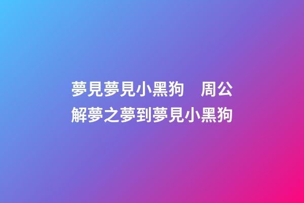 夢見夢見小黑狗　周公解夢之夢到夢見小黑狗